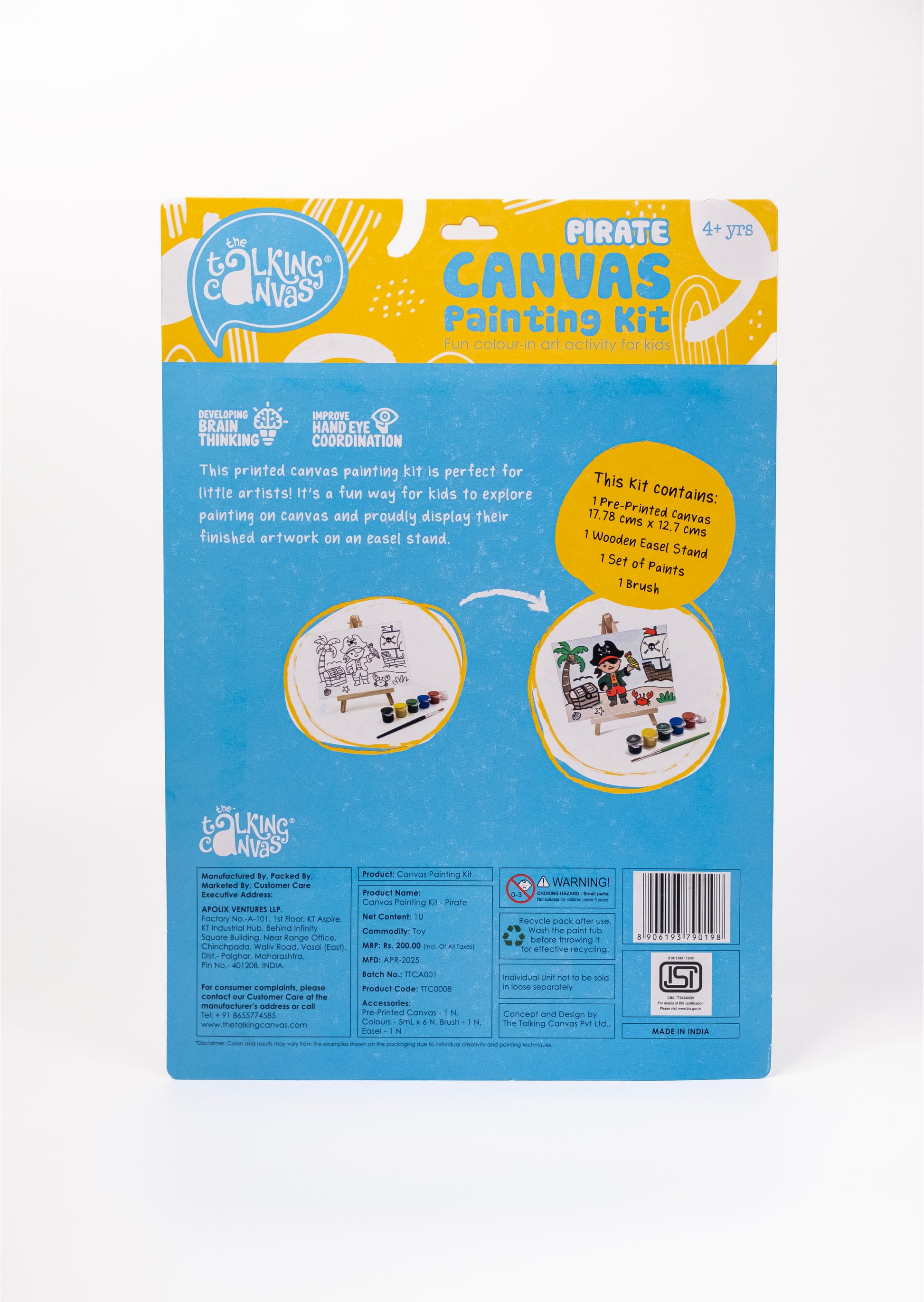 Back of Pirate Canvas Painting Kit packaging showing kit contents, painting instructions and product information for children aged 4+.