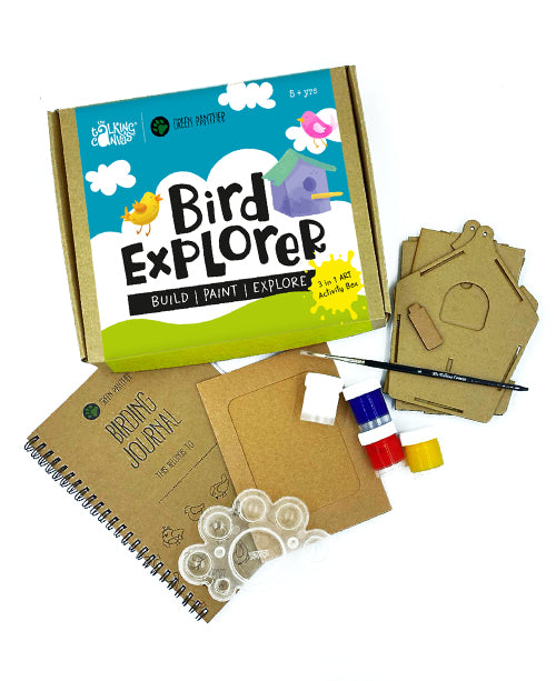 Bird Explorer DIY Art Kit